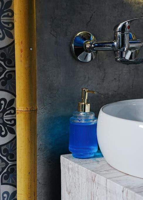 Sahara Studio With Shared Bathroom In City Centre 布拉迪斯拉发 外观 照片