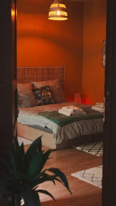 Sahara Studio With Shared Bathroom In City Centre 布拉迪斯拉发 外观 照片