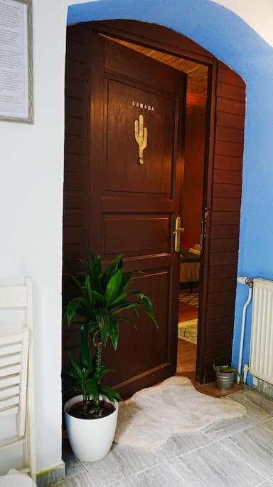 Sahara Studio With Shared Bathroom In City Centre 布拉迪斯拉发 外观 照片