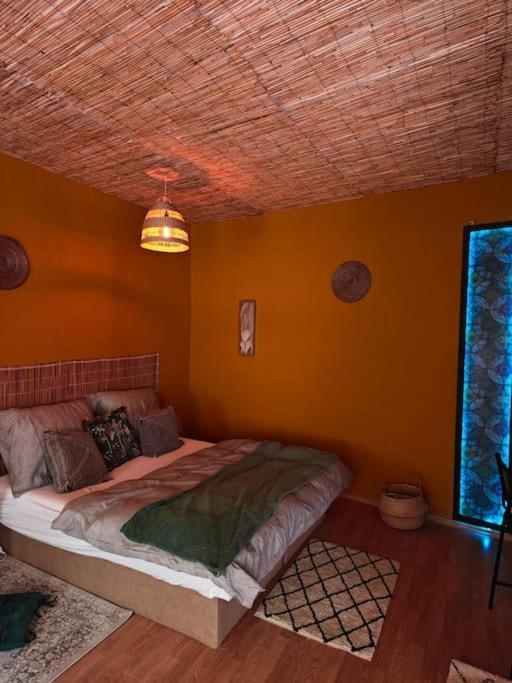 Sahara Studio With Shared Bathroom In City Centre 布拉迪斯拉发 外观 照片
