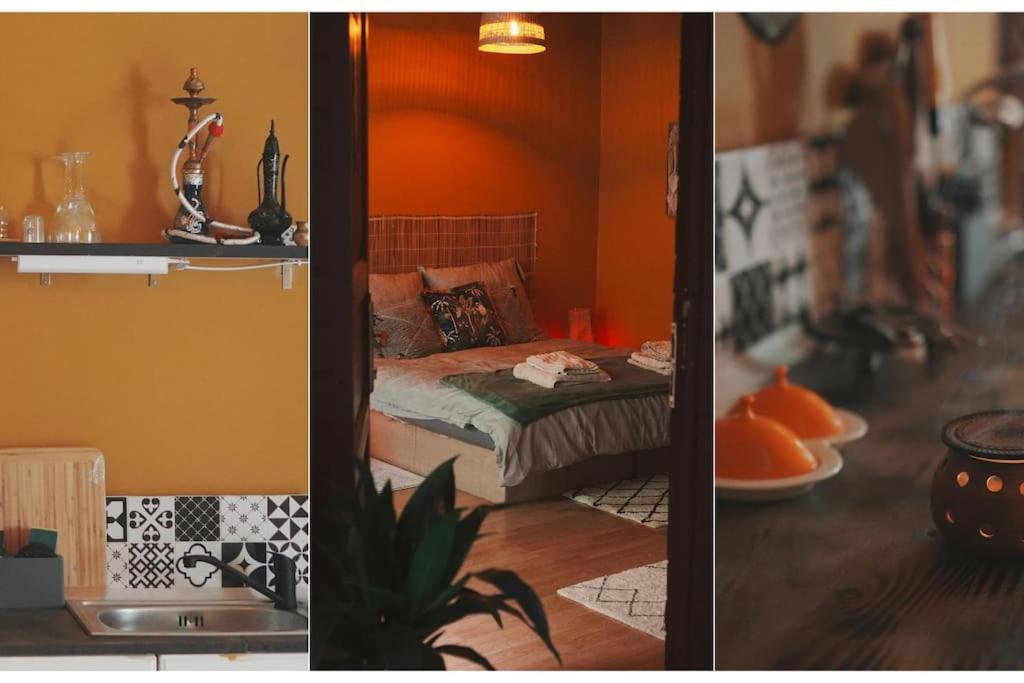 Sahara Studio With Shared Bathroom In City Centre 布拉迪斯拉发 外观 照片